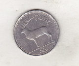 Bnk mnd Irlanda 1 lira 2000 , fauna, Europa