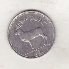 bnk mnd Irlanda 1 lira 2000 , fauna