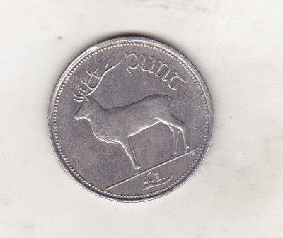 bnk mnd Irlanda 1 lira 2000 , fauna foto