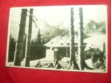 Ilustrata Cabana Pestera - Muntii Bucegi anii &#039;50, Necirculata, Printata