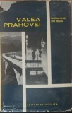 Valea Prahovei - Valeria Velcea/ Ion Velcea