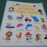 PRIMUL MEU DICTIONAR ENGLEZ-ROMAN