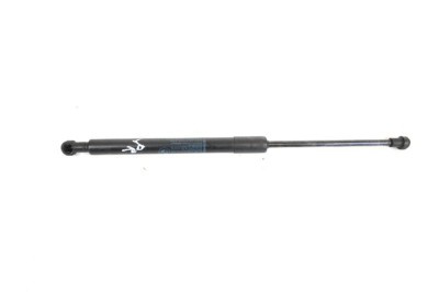 Amortizor capota st&amp;acirc;nga față BMW 3 Coupe E92 2009 OEM: 7129190 10642571 foto