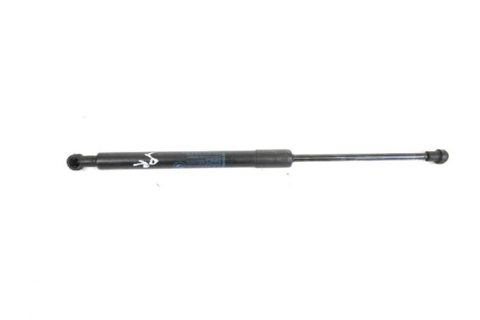 Amortizor capota st&acirc;nga față BMW 3 Coupe E92 2009 OEM: 7129190 10642571
