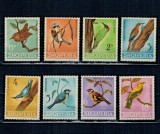 Albania 1964 - Păsări, serie neuzata