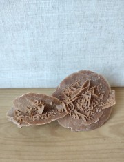 Roca trandafirul desertului 2