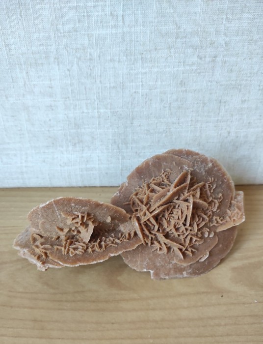 Roca trandafirul desertului 2