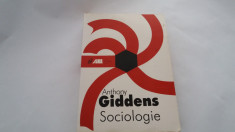 Sociologie Anthony Giddens RF19/2 foto