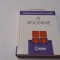 Dictionar francez-roman de sinonime - Elena Gorunescu (Editura Corint, 2010)