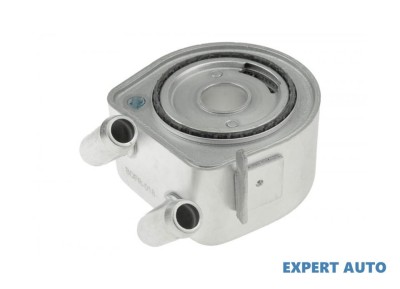Termoflot Ford MONDEO Mk III (B5Y) 2000-2007 #1 foto