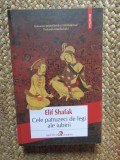 ELIF SHAFAK - CELE PATRUZECI DE LEGI ALE IUBIRII