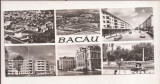 RF34 -Carte Postala- Bacau, format lung, circulata 1966