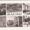 RF34 -Carte Postala- Bacau, format lung, circulata 1966