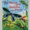 MAREA CARTE A FLUTURILOR SI A ALTOR INSECTE , text EMILY BONE , ilustratii de FABIANO FIORIN , 2020