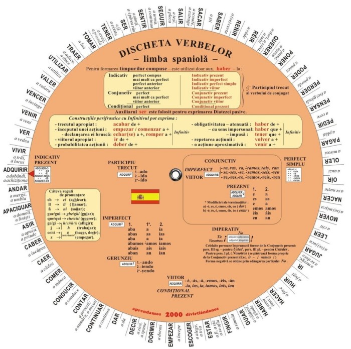 Discheta Verbelor Spaniola, Camelia Stan, Dragos Stan - Editura Astro
