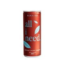 Bautura Carbogazoasa pe Baza de Ceai Negru Bio 250ml All I Need Cod: BG301311 foto