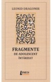 Fragmente de adolescent intarziat - Leonid Dragomir