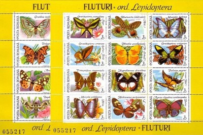 1991 - Fluturi, blocuri neuzate foto