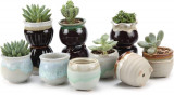 2.5 inch Bufniță ceramică Suculent Planter Pots cu gaură de drenaj Set de 12, Fl