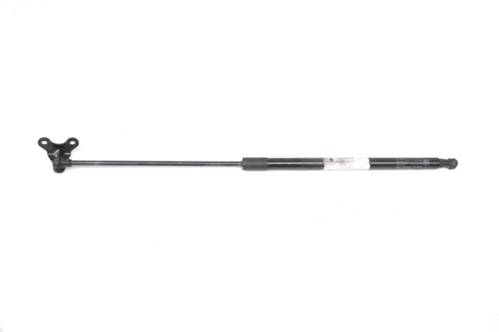 Amortizor haion dreapta BMW i3 I01 2018 OEM: 7296775 15272063