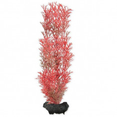 Myriophyllum Heterophyllum (Red Foxtail) - planta Tetra 23cm, M foto