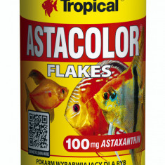 ASTACOLOR Tropical Fish, (Red Discus) 100ml/100g AnimaPet MegaFood