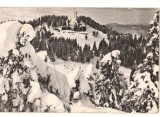CPIB 22691 - CARTE POSTALA - MASIVUL POSTAVARUL. CABANA &quot;CRISTIANUL MARE, RPR, Circulata, Fotografie