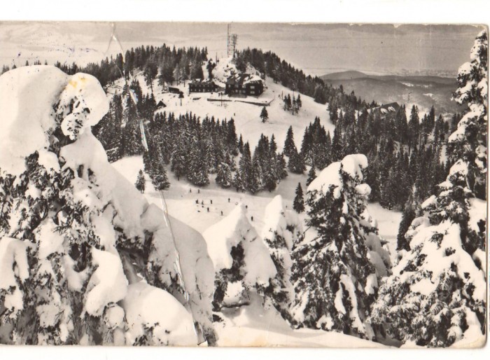 CPIB 22691 - CARTE POSTALA - MASIVUL POSTAVARUL. CABANA &quot;CRISTIANUL MARE, RPR