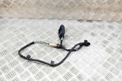 Sonda lambda BMW X3 G01, F97 2019 OEM: 8580410,0281007018,0281007019 20288831 foto
