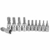 Set 11 Biti Torx T10-T60, Scule Auto, Moto, Reparatii, Instalatii, Atelier - Otel Profesional