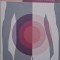 Ghid practic pentru bolile inflamatorii intestinale - Sunanda V. Kane, Marla C. Dubinsky