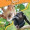 Monkey or Ape?