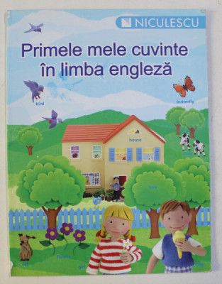 PRIMELE MELE CUVINTE IN LIMBA ENGLEZA , 2011 foto