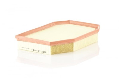Filtru aer Mann-Filter C30003 foto
