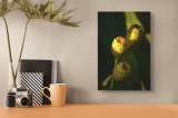 Tablou Canvas, "Fructele soarelui &icirc;n amurgul verii", Nepătruns, Vibrant, Texturat, Exotic, Sălbatic, Verde, Statutăr, Contraste, Natural, Exotic., 26