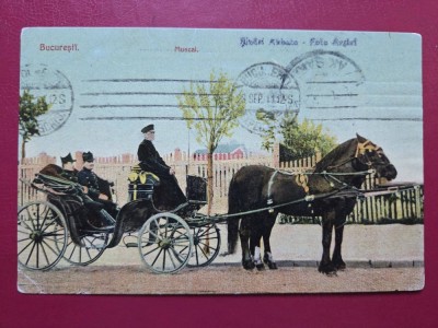 Bucuresti Muscal foto