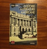 Peter Conn - O Istorie a Literaturii Americane (1996)