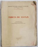 Nicolae Manescu - Turcia de Astazi