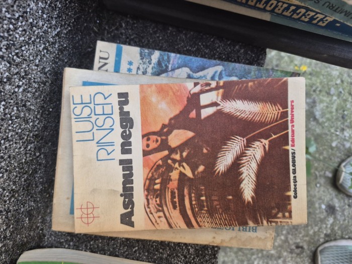 Asinul negru vintage