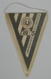 D9 M5 12 - fanion - sport - cluburi sportive - clubul Universitatea Cluj - 1919 - 1985