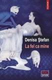La fel ca mine - Denisa Stefan - Polirom