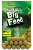 Cumpara ieftin Haldorado - Big Feed S22 Soluble Boilie Capsuna &amp;Ananas -800g,22mm