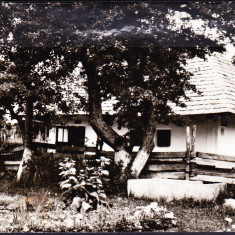 AMS - ILUSTRATA 985 HUMULESTI - CASA MEMORIALA ION CREANGA, NECIRCULATA