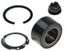 Kit rulment butuc roata Renault Clio 3 (Br0/1, Cr0/1), Grand Scenic 2 (Jm0/1), Megane 2 (Bm0/1, Cm0/1), Modus / Grand Modus (F/Jp0), Scenic 2 (Jm0/1)
