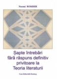 Sapte intrebari fara raspuns definitiv la Teoria literaturii - Noemi Bomher