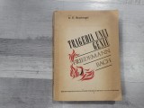 Tragedia unui geniu. Friedemann Bach de A.E.Brachvogel