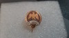 Insigna F C Arges