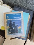 Baltagul vintage