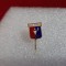 Insigna CSS Arad
