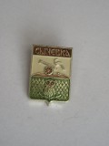 QW9 N4 37 - insigna - orase - Scevka - Rusia, Asia